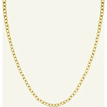 Náhrdelník Rosefield Dámské Rosefield náhrdelník zlaté barvy Oval Chainlink JNOCG-J626 Fialová ONE SIZE (2842927)