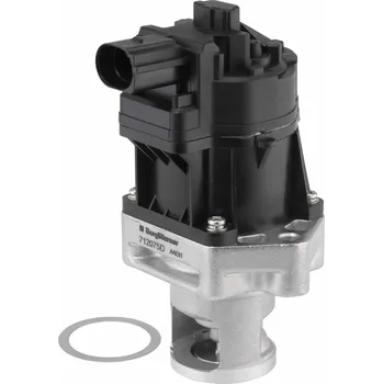 Auto-moto AGR-Ventil BorgWarner 712075D