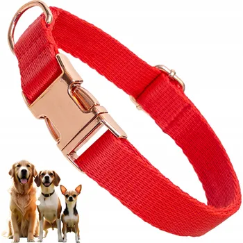 Obojek pro psa Pevný obojek pro psa s kovovou sponou, nastavitelná velikost XL, 2,5 cm, 42 cm - 65 cm