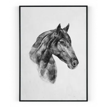 Plakát Plakát / Obraz Kůň A4 - 21 x 29,7 cm Tiskové plátno