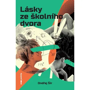 Beletrie pro dospělé Lásky ze školního dvora
