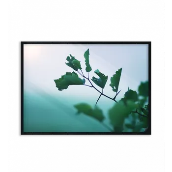 Plakát Plakát / Obraz Zátiší 40 x 50 cm Tiskové plátno