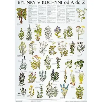 Bystrá hlava Plakát - Bylinky v kuchyni od A do Z