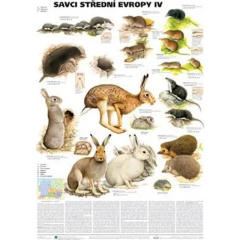 Plakát - Savci střední Evropy IV. - Hmyzožravci, zajíci