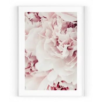 Plakát Plakát / Obraz Pivoňka A4 - 21 x 29,7 cm Pololesklý saténový papír