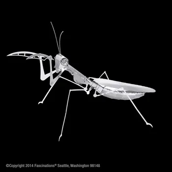 Metal Earth 3D puzzle: Kudlanka nábožná