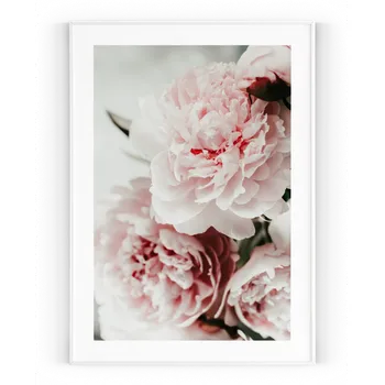 Plakát Plakát / Obraz Pivoňka A4 - 21 x 29,7 cm Pololesklý saténový papír