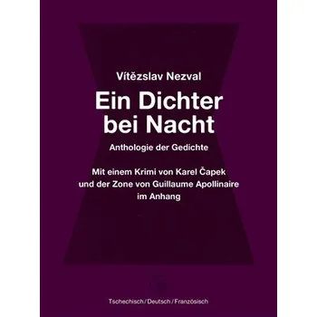 Poezie Ein Dichter bei Nacht