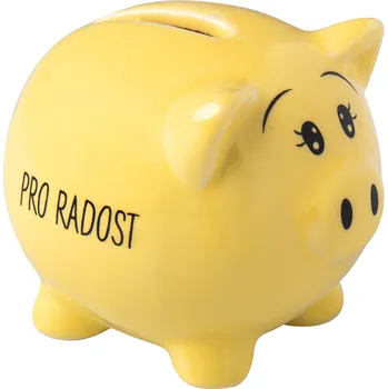Pokladnička Prasátko - Pro radost