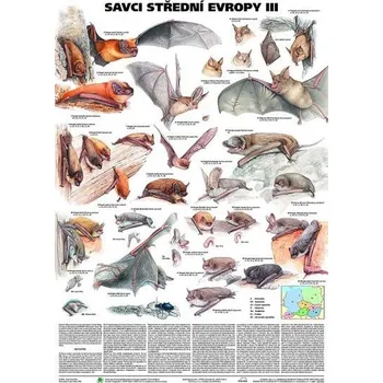 Plakát - Savci střední Evropy III- Netopýři