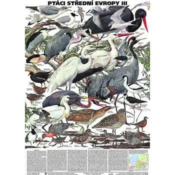 Plakát - Ptáci střední Evropy 3. díl