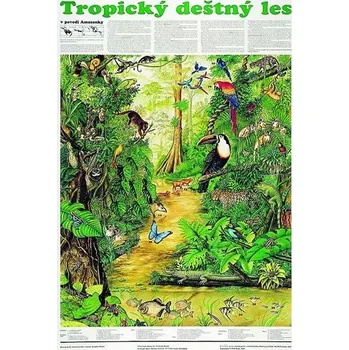 Plakát - Tropický deštný les