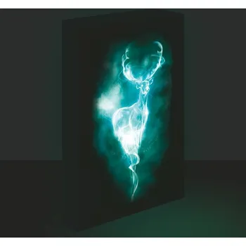 Hračka Harry Potter obraz LED svítící 30x40 cm - Patron