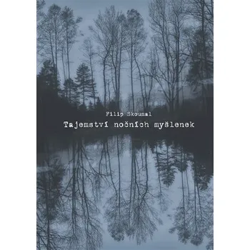 Poezie Tajemství nočních myšlenek