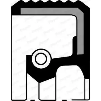Těsnění motoru PAYEN Těsnicí kroužek hřídele diferenciálu PAY NF825