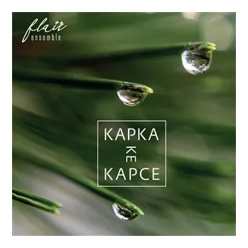 Česká hudba Kapka ke kapce - CD