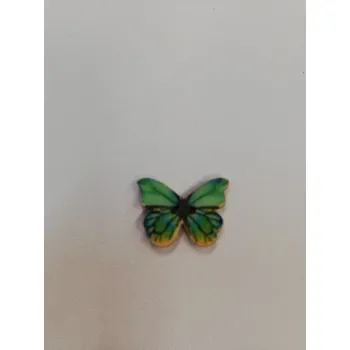 Knoflík Dřevěný knoflík lakovaný motýl č.2