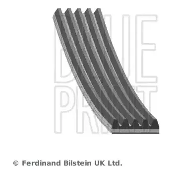 Rozvod motoru BLUE PRINT Ozubený klínový řemen BLP AD05R850