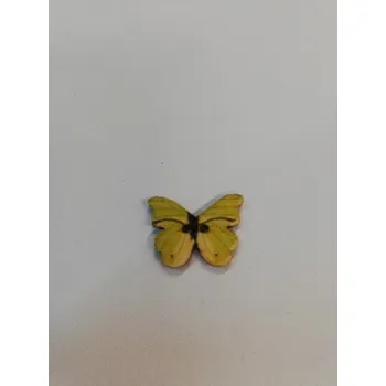 Knoflík Dřevěný knoflík lakovaný motýl č.5