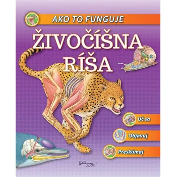 Bystrá hlava Živočíšna ríša