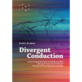 Divergent Conduction - Systém dirigentských gest autorského ansámblu „Divergent Connections Orchestra