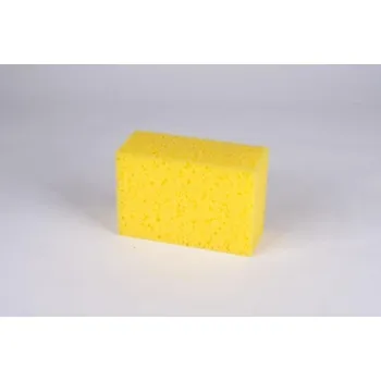 CARFACE Houba mycí 1 ks DO CF344223