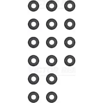 Automobilové těsnění REINZ Sada těsnění - dřík ventilu VR 12-53489-01