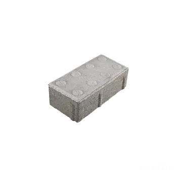 DITON Dlažba PARKETA Velikost: 20 × 10 × 6, Varianta: Parketa 6 slepecká bílá, Povrch: standard