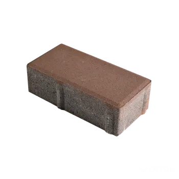 DITON Dlažba PARKETA Velikost: 20 × 10 × 6, Varianta: Parketa 6 karamelová, Povrch: standard