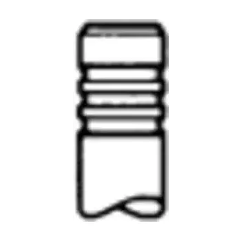 Rozvod motoru TRW Engine Component Sací ventil TRE 331110