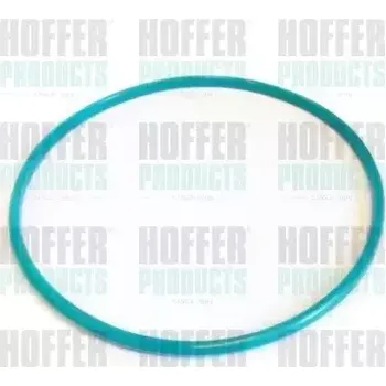 Palivový systém HOFFER Těsnění víčka palivové nádrže HFR GSK01
