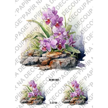 Umělecký papír Rýžový a soft papír na decoupage - Orchidej - KB03759 Materiál: Soft, Rozměr: A4