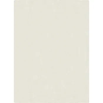 Koberec Kusový koberec BUNNY N33 Rozměr: 80x160 cm