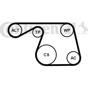 Motor automobilu CONTITECH Vodní pumpa klínového drážkového řemenu CTT 6PK1310WP1