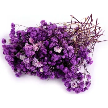 umělá květina Sušený / stabilizovaný nevěstin závoj pro suché i mokré aranžování