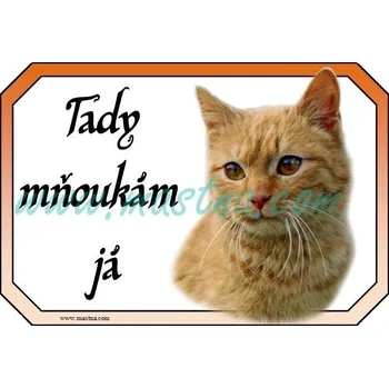 Kočka rezavá, cedulka mňoukám - Bez samolepicí vrstvy