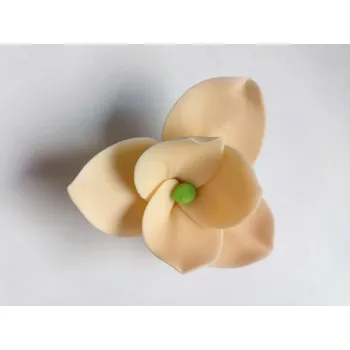 Jedlá dekorace na dort Dortisimo Cukrová magnolie broskvová (9 ks)