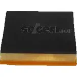 FRAM Vzduchový filtr FF CA10615