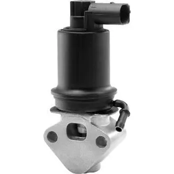 Ventil palivového systému WAHLER AGR ventil WH 710953R