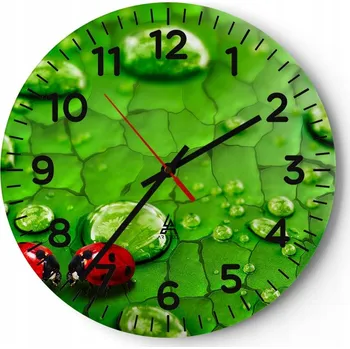 Hodiny Kuchyňské nástěnné hodiny 30x30 Natura Moderní skleněné hodiny do obýváku Tiché