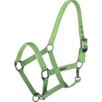 Vybavení pro koně COVALLIERO Ohlávka S/S 2025, green, vel. COB