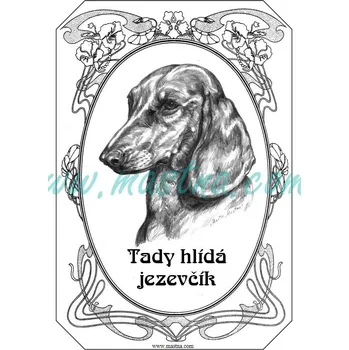 Informační tabulka Cedulka jezevčík hladkosrstý, ovál - Bez samolepicí vrstvy