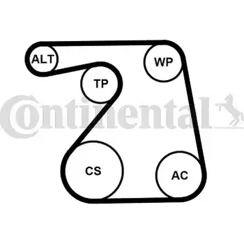 Motor automobilu CONTITECH Vodní pumpa klínového drážkového řemenu CTT 6PK1360WP1