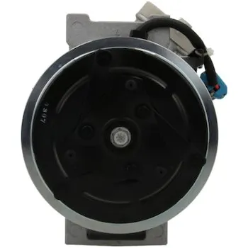 Kompresor klimatizace Alfa Romeo PSH 090.105.011.500