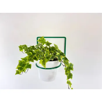 Stojan na květiny Nástěnný držák „Colours“ (Single) Zvolit Barvu :: Zelená (RAL 6032)