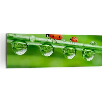 Obraz Velký obraz do obýváku 160x50 beruška moderní na plátně obrazy