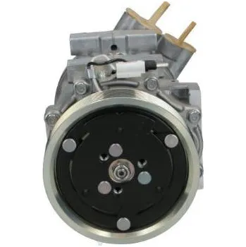 Kompresor klimatizace Kompresor klimatizace Renault 090575019