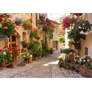 Diamantové malování Norimpex Diamantový obrázek- Ulička plná květin 30x40cm