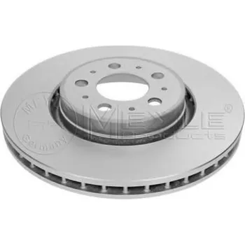 Brzdový kotouč MEYLE Brzdový kotouč PLATINUM DISC - 320 mm ME 515 521 0005/PD