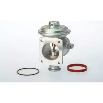 Ventil palivového systému WAHLER AGR ventil WH 710924D